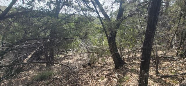 21003 Panhandle CV, Lago Vista, TX 78645