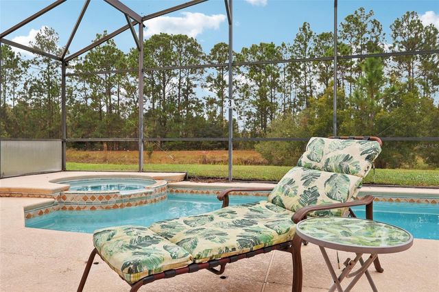 334 ORANGE COSMOS BOULEVARD, Davenport, FL 33837