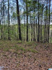 LAKE GENEVA DRIVE, Wedowee, AL 36278