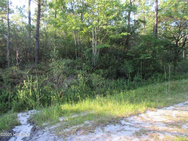 1300 Beech Road, Southport, NC 28461