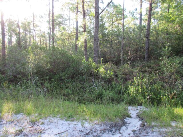1300 Beech Road, Southport, NC 28461