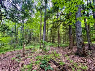 0 Tyler Farm Road, Newbury, VT 05051