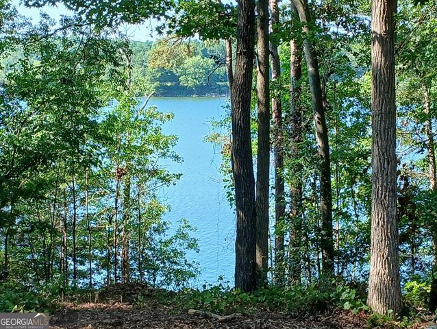 182 Cherry Rose Lane, Hartwell, GA 30643