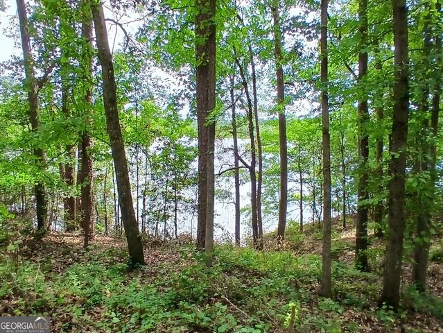 182 Cherry Rose Lane, Hartwell, GA 30643