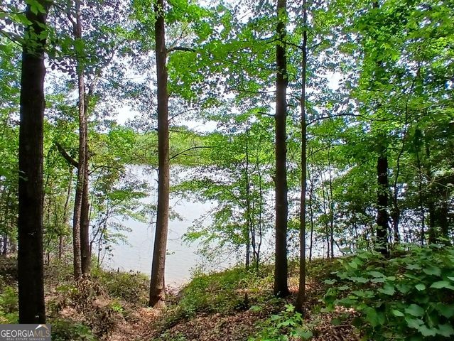 182 Cherry Rose Lane, Hartwell, GA 30643