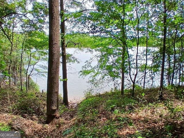 182 Cherry Rose Lane, Hartwell, GA 30643