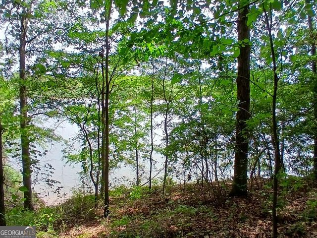 182 Cherry Rose Lane, Hartwell, GA 30643
