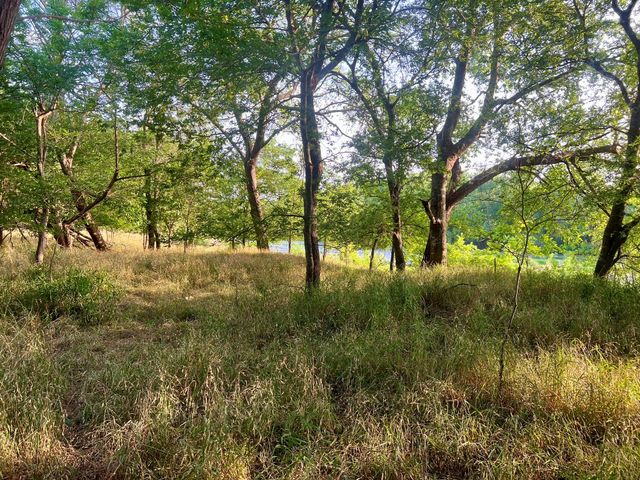 0000 Hidden Shores RD, Smithville, TX 78957