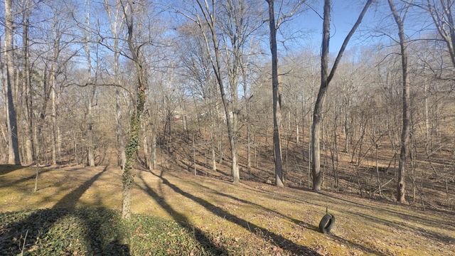 74 Snow Tree Bnd, Manchester, TN 37355