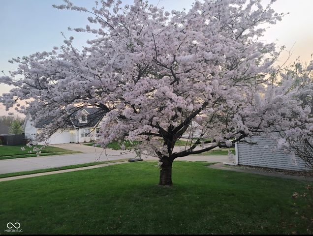 6104 Brandermill Ridge, Columbus, IN 47203