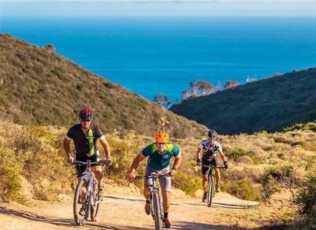 1445 Bluebird Canyon, Laguna Beach, CA 92651