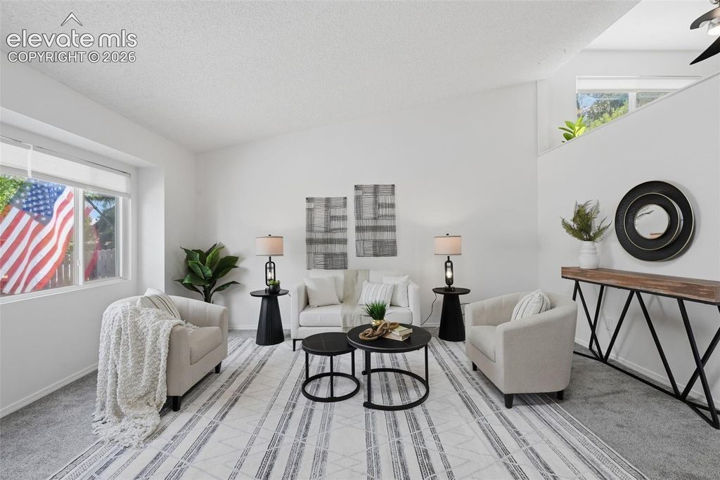 1480 Shadberry Court, Colorado Springs, CO 80915 — photo 3