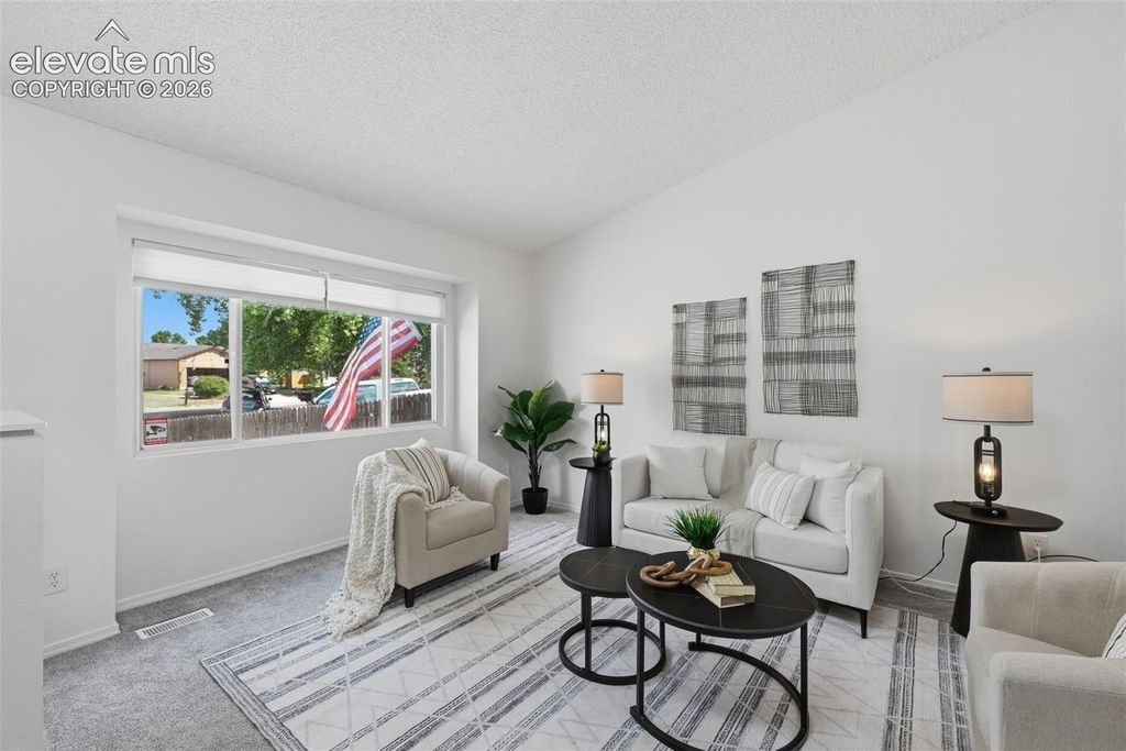 1480 Shadberry Court, Colorado Springs, CO 80915 — photo 5