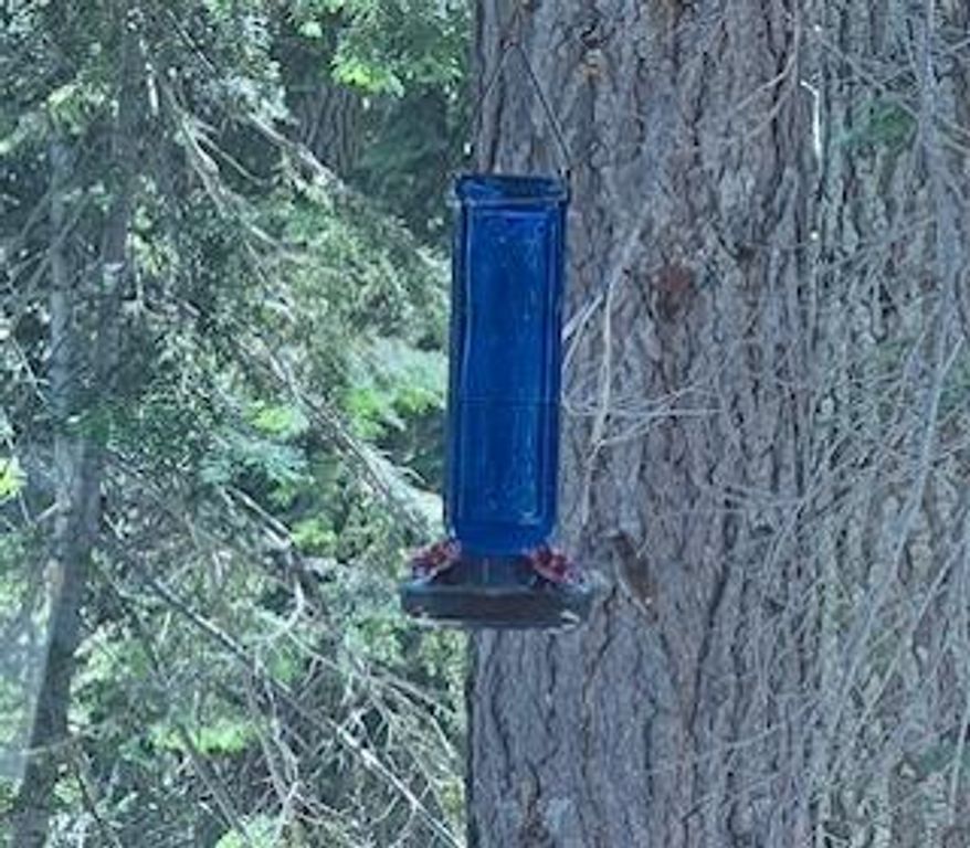 Image 26 of property listing at 0 Hlk135-Cabin @ Heart Meadow, Sequoia National Prk, CA 93262