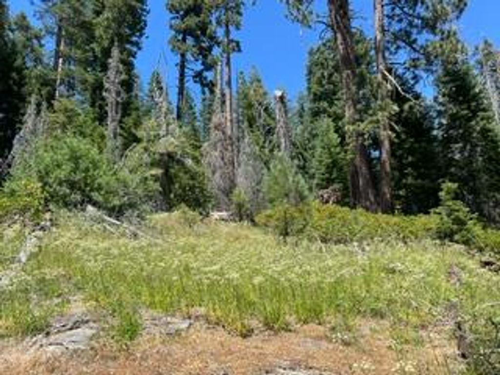 Image 33 of property listing at 0 Hlk135-Cabin @ Heart Meadow, Sequoia National Prk, CA 93262