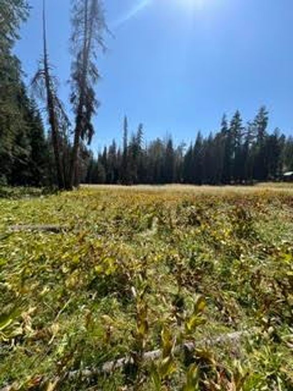 Image 34 of property listing at 0 Hlk135-Cabin @ Heart Meadow, Sequoia National Prk, CA 93262