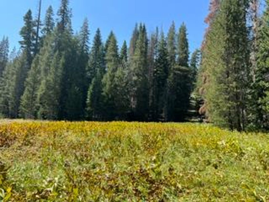 Image 8 of property listing at 0 Hlk135-Cabin @ Heart Meadow, Sequoia National Prk, CA 93262
