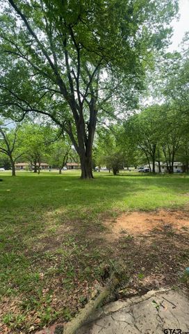 410 N Heights Blvd, Omaha, TX 75571