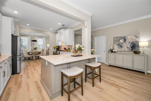 1437 HALAPA WAY, Trinity, FL 34655