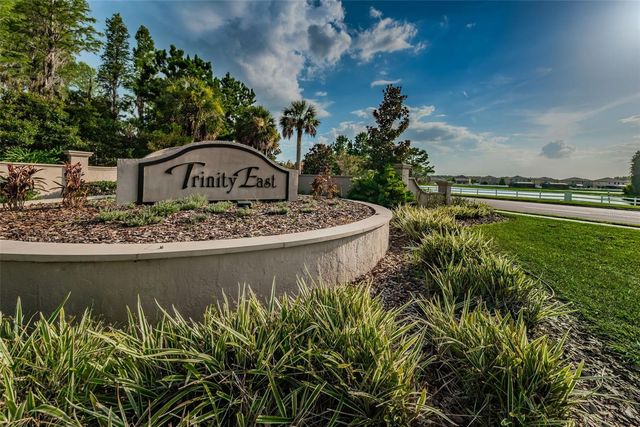 1437 HALAPA WAY, Trinity, FL 34655