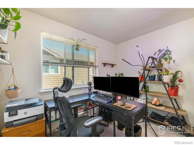 6479 Black Hills Avenue, Loveland, CO 80538