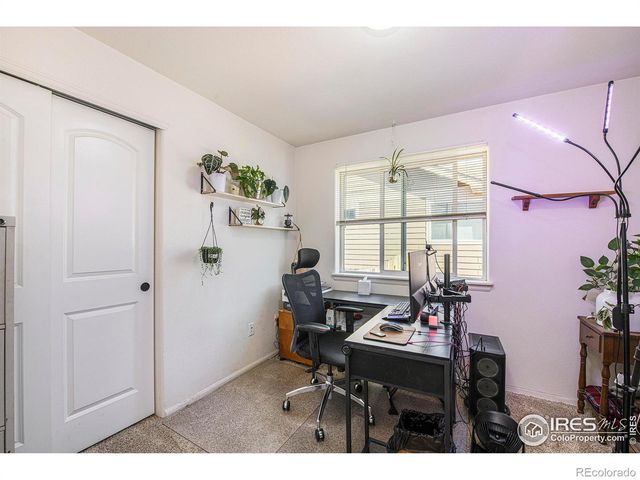 6479 Black Hills Avenue, Loveland, CO 80538