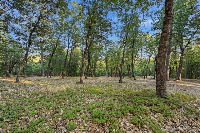 18274 Royal Plum Way, Nevada City, CA 95959