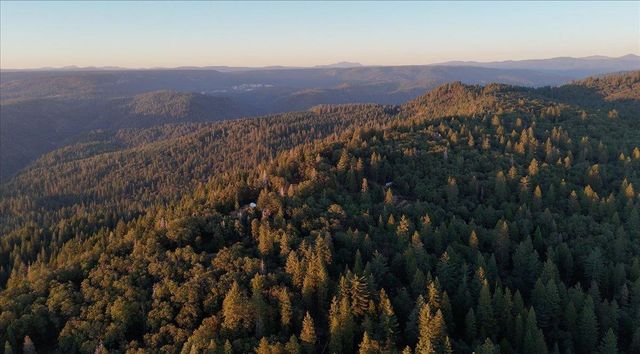 18274 Royal Plum Way, Nevada City, CA 95959