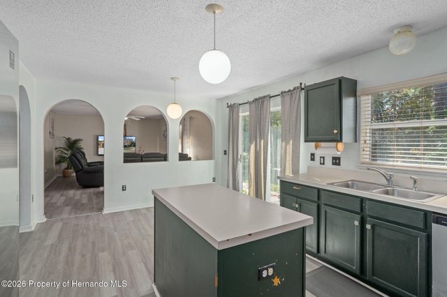 2359 GIMLET Avenue 32 323 17 5090 0553 0100, Spring Hill, FL 34608