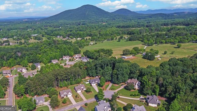6619 Station Drive, Clermont, GA 30527
