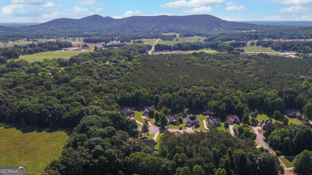 6619 Station Drive, Clermont, GA 30527
