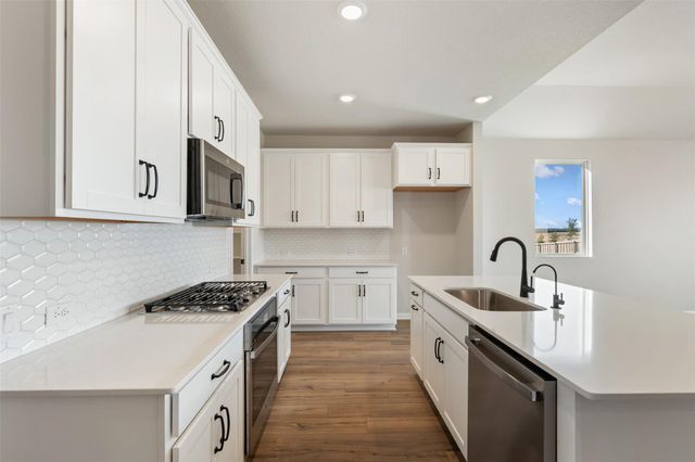 9824 Serene Bliss LN, Buda, TX 78610