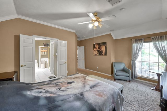 59 Eagle Mead Place, The Woodlands, TX 77382