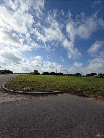 TBD Salinas Boulevard, Donna, TX 78537