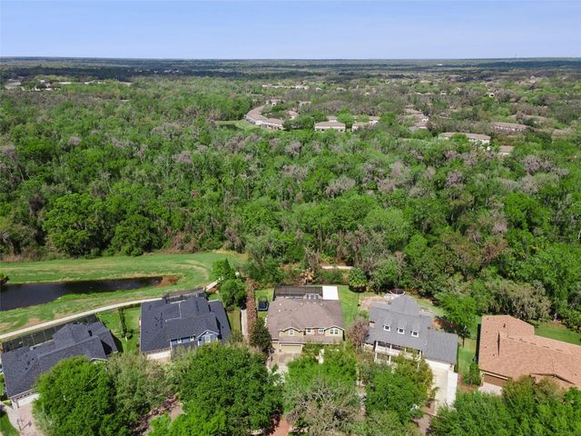 15940 TERNGLADE DRIVE, Lithia, FL 33547