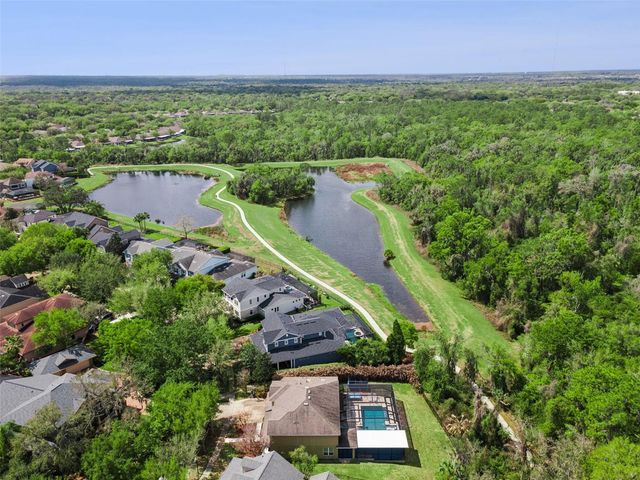 15940 TERNGLADE DRIVE, Lithia, FL 33547