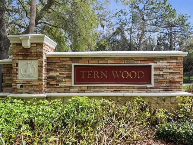 15940 TERNGLADE DRIVE, Lithia, FL 33547