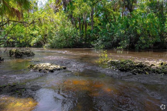 15940 TERNGLADE DRIVE, Lithia, FL 33547