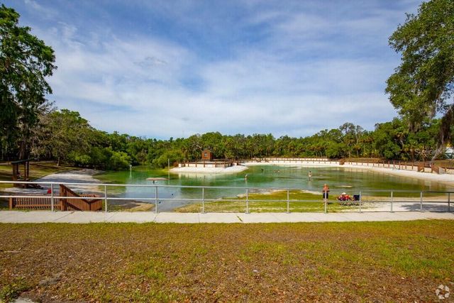 15940 TERNGLADE DRIVE, Lithia, FL 33547