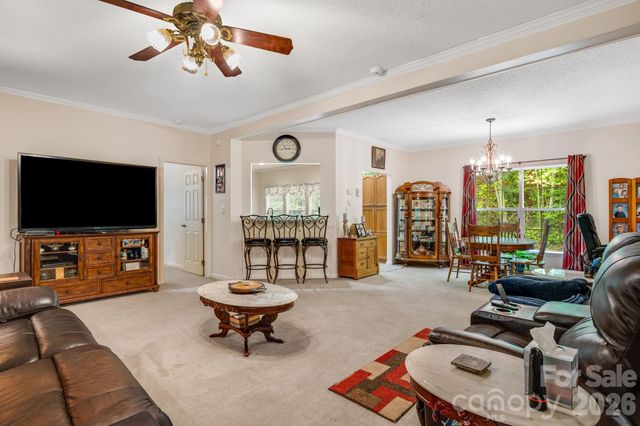 3287 Cabin Creek Road, Zirconia, NC 28790