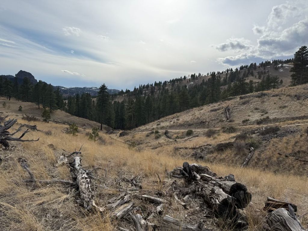 NHN Big Pine Lane, Cascade, MT 59421 photo 10