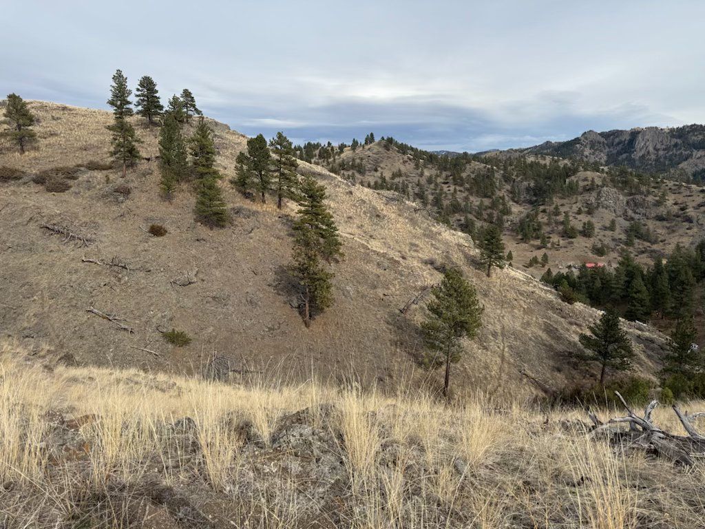 NHN Big Pine Lane, Cascade, MT 59421 photo 9