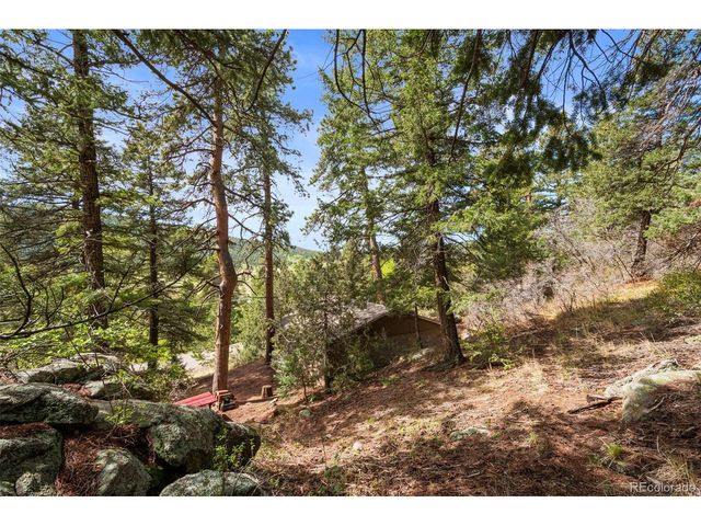 25845 Wilkerson Rd, Conifer, CO 80433