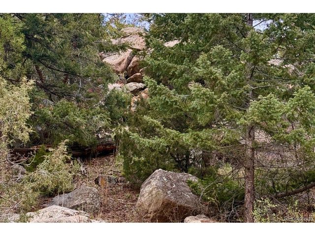 25845 Wilkerson Rd, Conifer, CO 80433