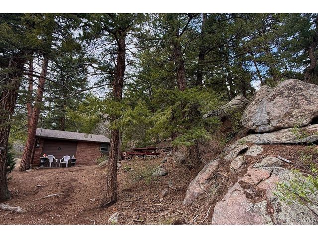 25845 Wilkerson Rd, Conifer, CO 80433