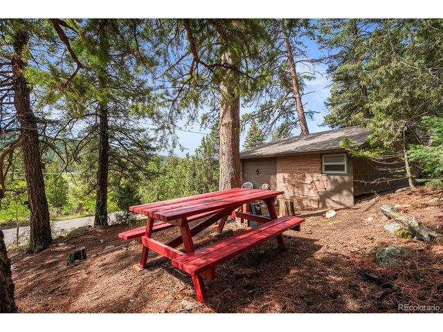 25845 Wilkerson Rd, Conifer, CO 80433
