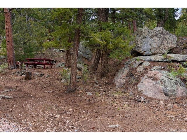 25845 Wilkerson Rd, Conifer, CO 80433