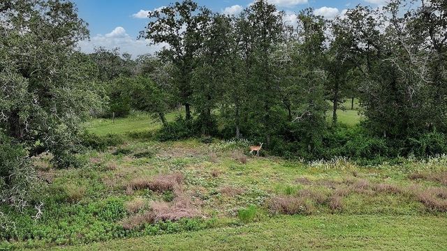 2625 Burke Road, Flatonia, TX 78941