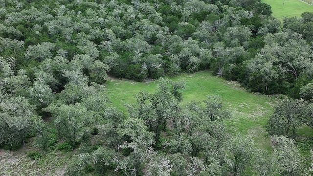 2625 Burke Road, Flatonia, TX 78941