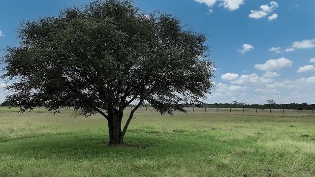 2625 Burke Road, Flatonia, TX 78941